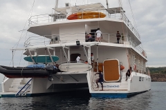 Tour to Trincomalee with Ocean Diamond Cruise September 2020